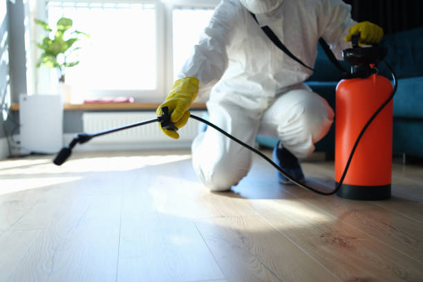 Reliable Odor Removal contractor in Milford, MI by Trauma Clean Pros